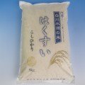 はくすい米 コシヒカリ　2kg・5kg・10kg